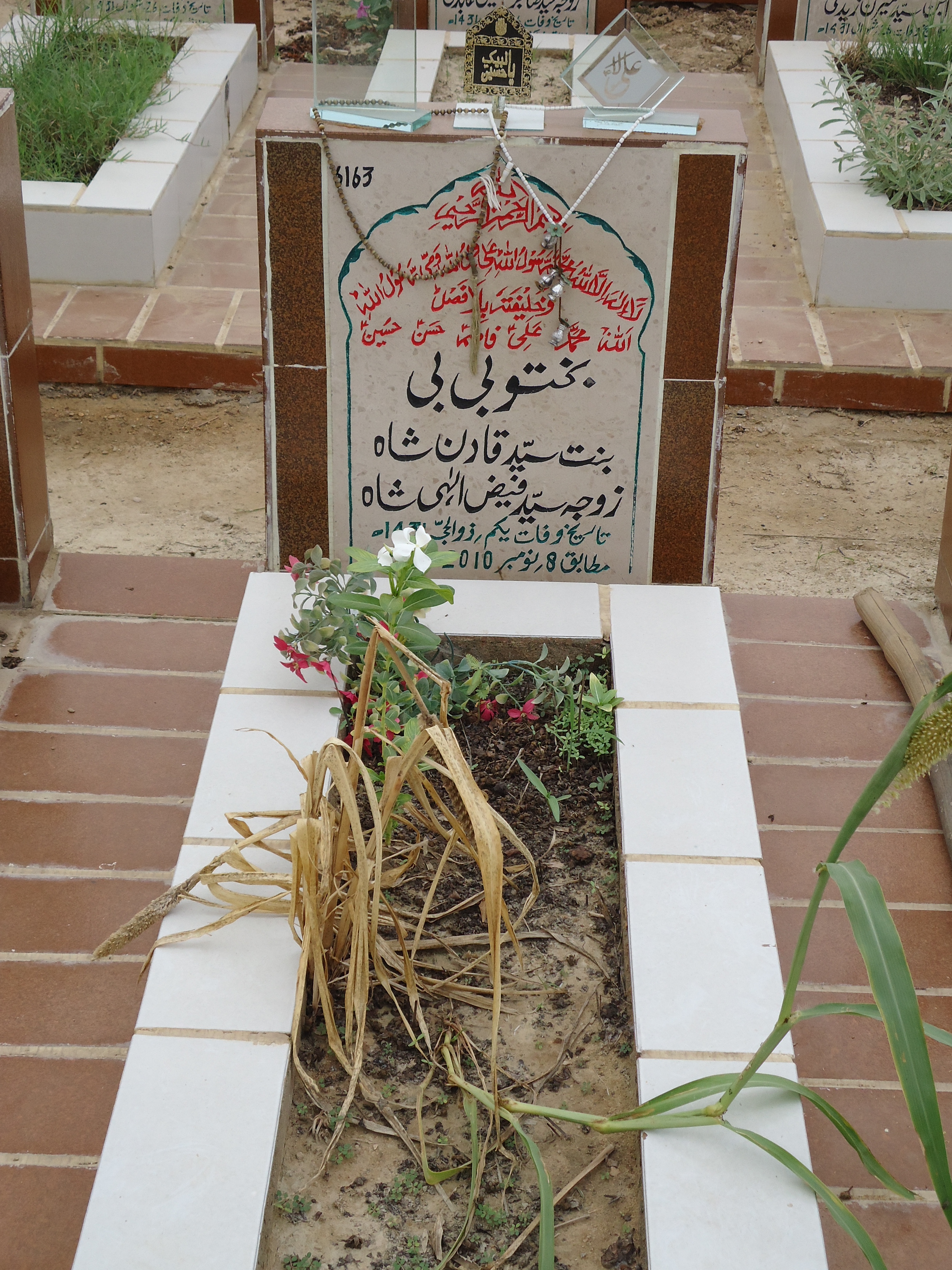6163 – Bhaktu Bibi